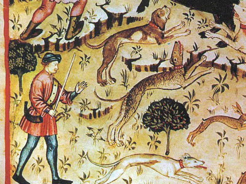 Ruolo e controllo del mondo animale negli statuti emiliano-romagnoli (secoli XIII-XV)